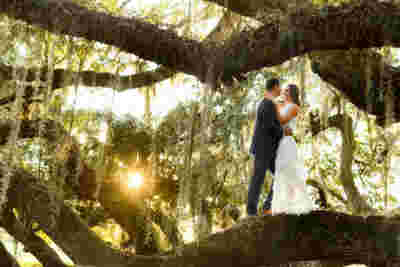 Best Traditional Professional Luxury Family Dream Wedding Engagement Couple Oak Tree Sunlight Photography Photo698