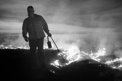 Sugar Cane Photography White Castle Louisiana3