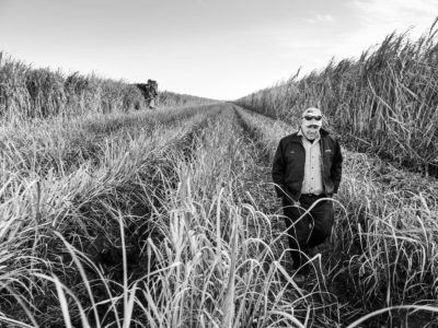 Sugar Cane Photography White Castle Louisiana5