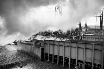 Sugar Cane Photography White Castle Louisiana10