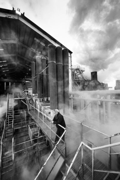 Sugar Cane Photography White Castle Louisiana12