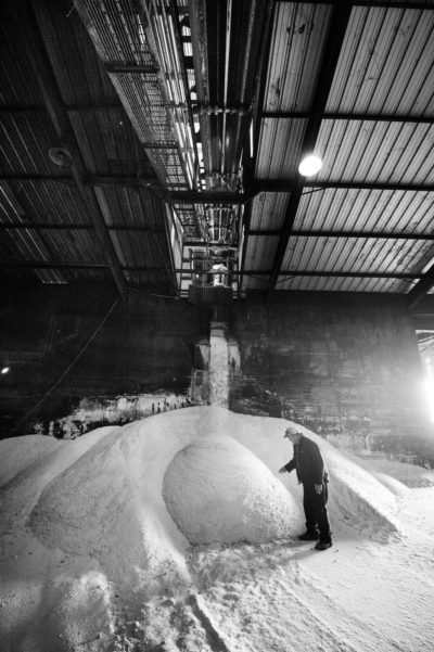 Sugar Cane Photography White Castle Louisiana13