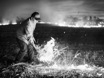 Sugar Cane Photography White Castle Louisiana18