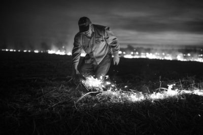 Sugar Cane Photography White Castle Louisiana19