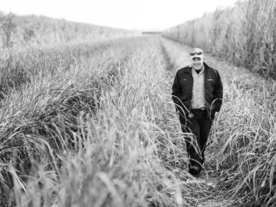 Sugar Cane Photography White Castle Louisiana20