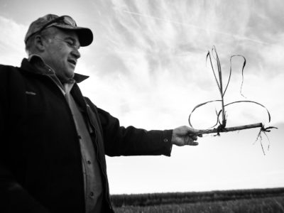 Sugar Cane Photography White Castle Louisiana23