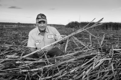 Sugar Cane Photography White Castle Louisiana27