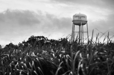 Sugar Cane Photography White Castle Louisiana28