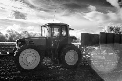 Sugar Cane Photography White Castle Louisiana30