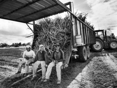 Sugar Cane Photography White Castle Louisiana36
