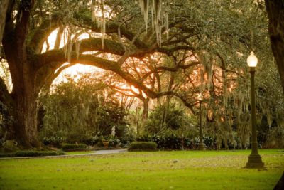 Best Professional Luxury Dream Wedding Venue Photography at Houmas House Louisiana Plantation Photo 65
