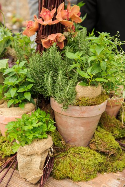 New Orleans Wedding Photography129