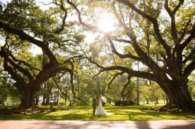 Best Professional Traditional Southern Luxury Outdoor Dream Wedding Photography @OakAlleyPlantation Vacherie LA 7
