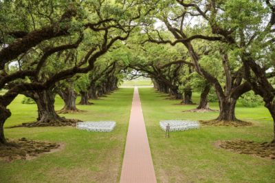 Best Professional Outdoor Southern Classic Wedding Venue Photography @OakAlleyPlantation Vacherie LA 13
