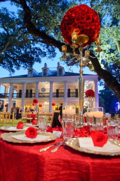 Best Professional Traditional Southern Luxury Outdoor Dream Wedding Photography @OakAlleyPlantation Vacherie LA 46
