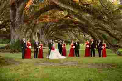 Best Professional Classic Southern Traditional Dream Wedding Venue  Family Photography @OakAlleyPlantation VacherieLA 41