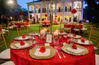 Best Professional Traditional Southern Luxury Outdoor Dream Wedding Photography @OakAlleyPlantation Vacherie LA 47