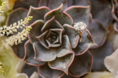 Wedding Details Gallery 0058