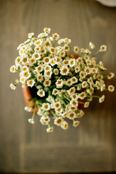 Wedding Details Gallery 0071