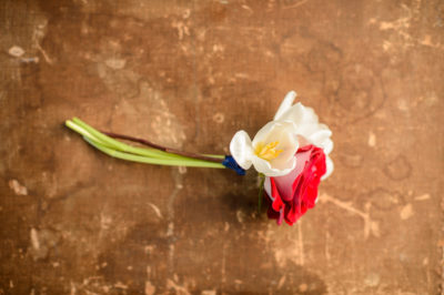 Wedding Details Gallery 0098